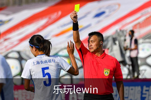 乐玩lewin公司介绍